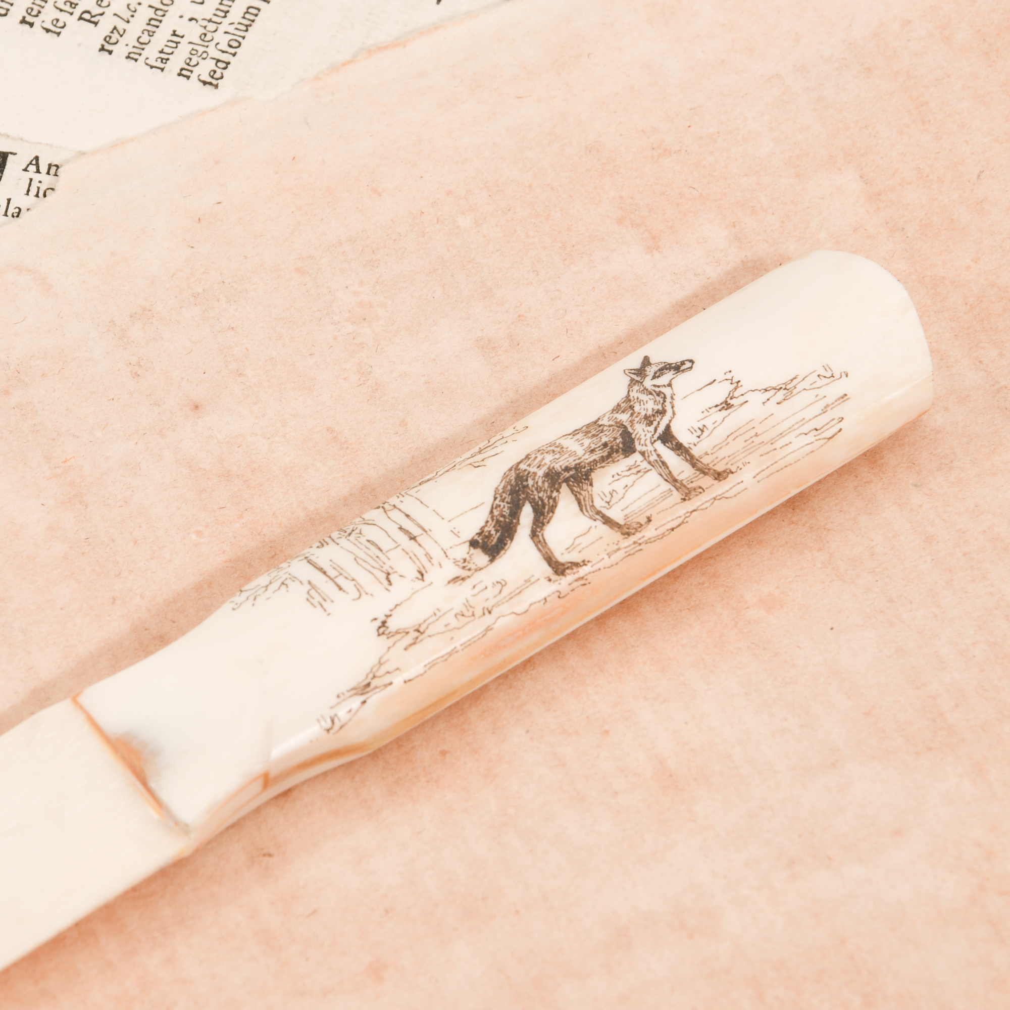 Fox Engraved Scrimshaw Ox Bone Letter Opener Handle Detail