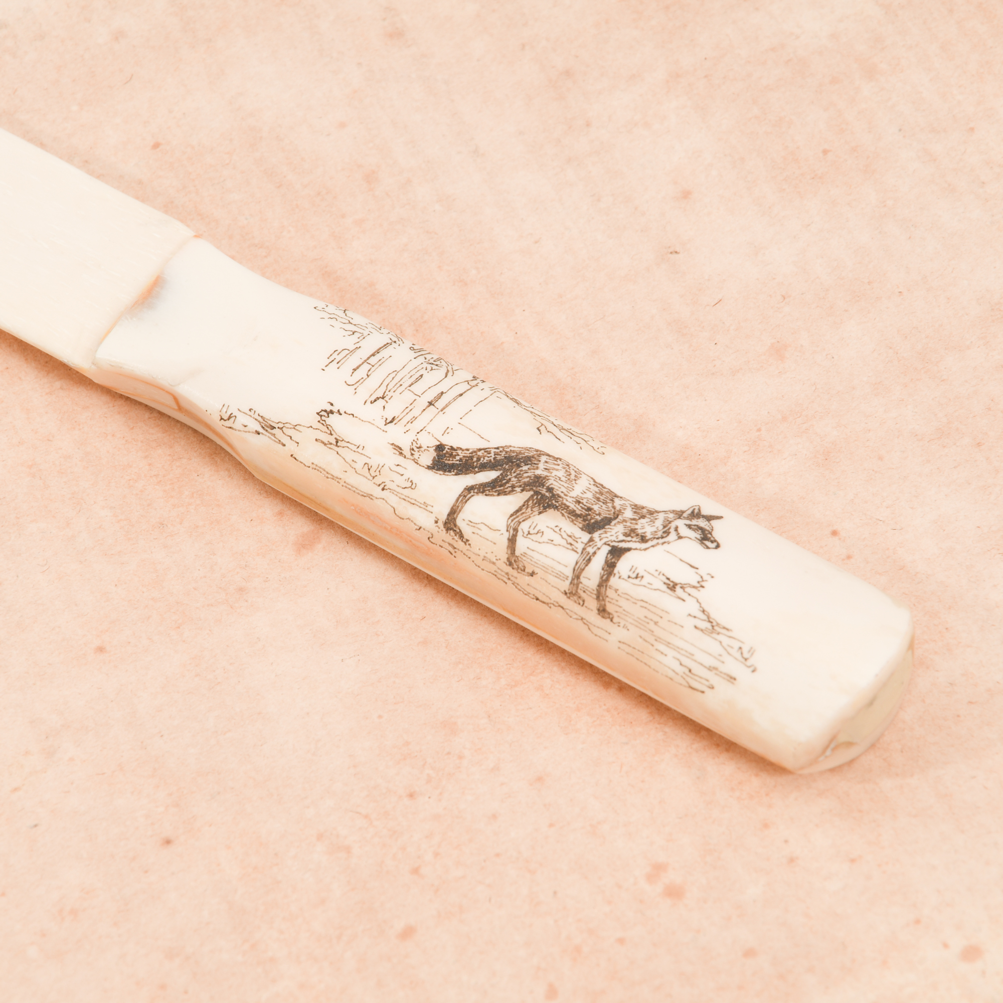 Fox Engraved Scrimshaw Ox Bone Letter Opener Handle